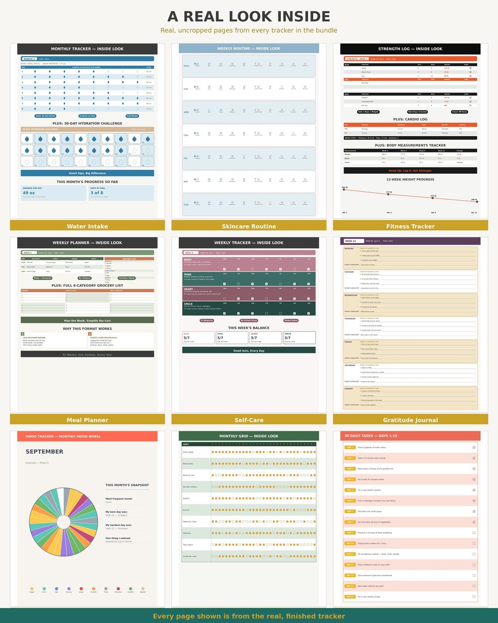 9-in-1 Health & Wellness Bundle photo 6